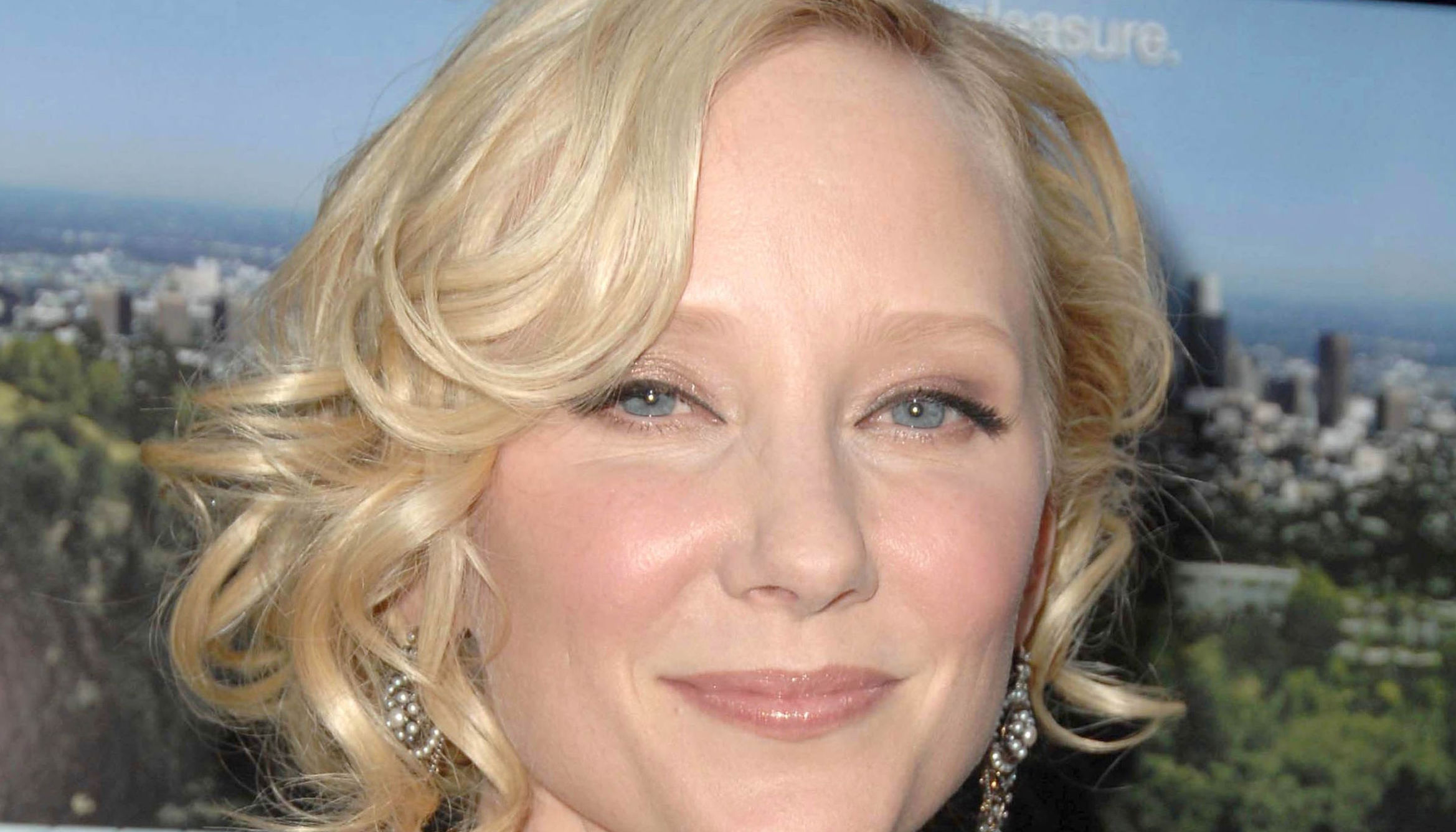 What happens when there is no will? Estate of Anne Heche